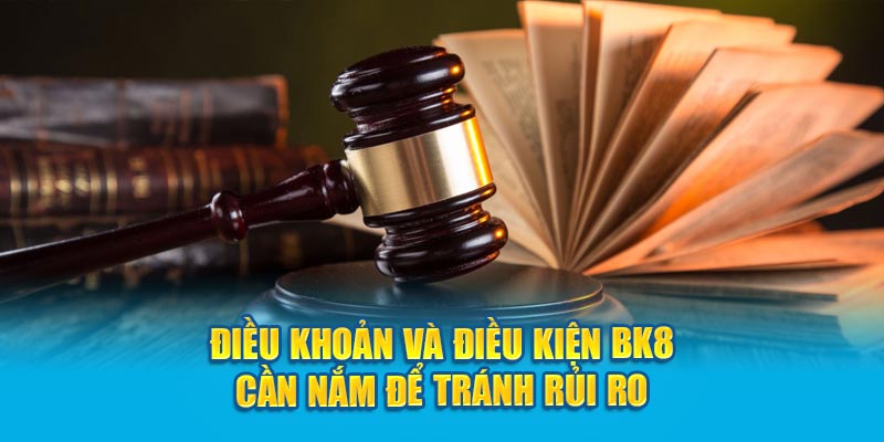 điều khoản và điều kiện