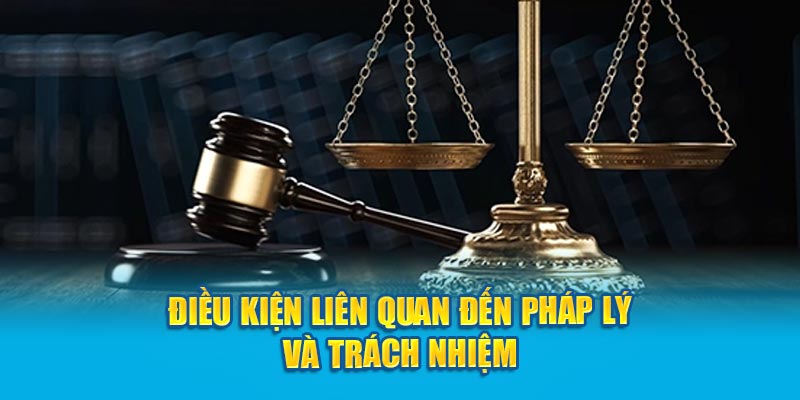 Điều kiện liên quan đến pháp lý và trách nhiệm