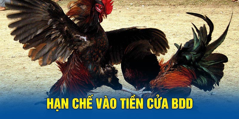 Hạn chế vào tiền cửa BDD