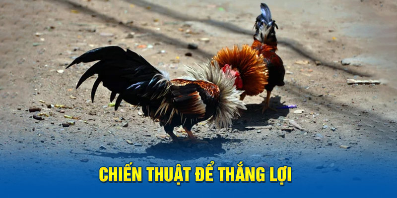 Chiến thuật để thắng lợi