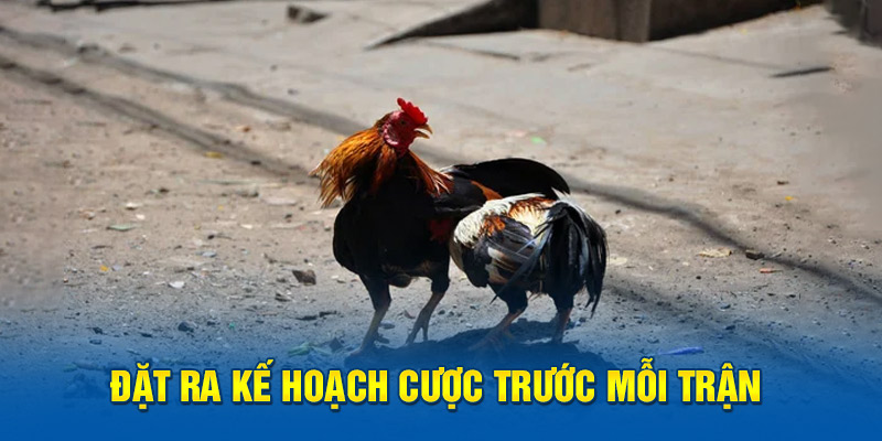 Đặt ra kế hoạch cược trước mỗi trận